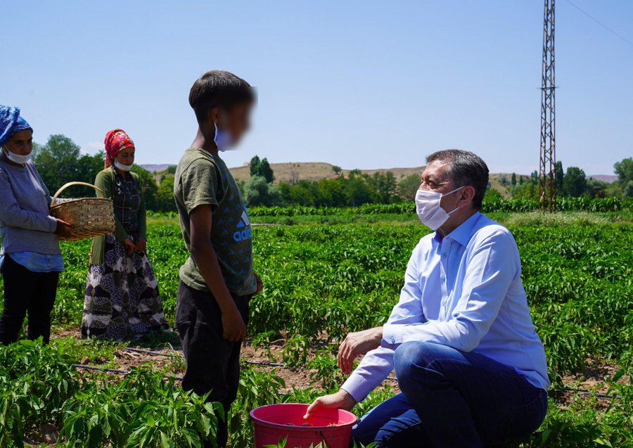 Education minister criticized for 'normalizing child labor'