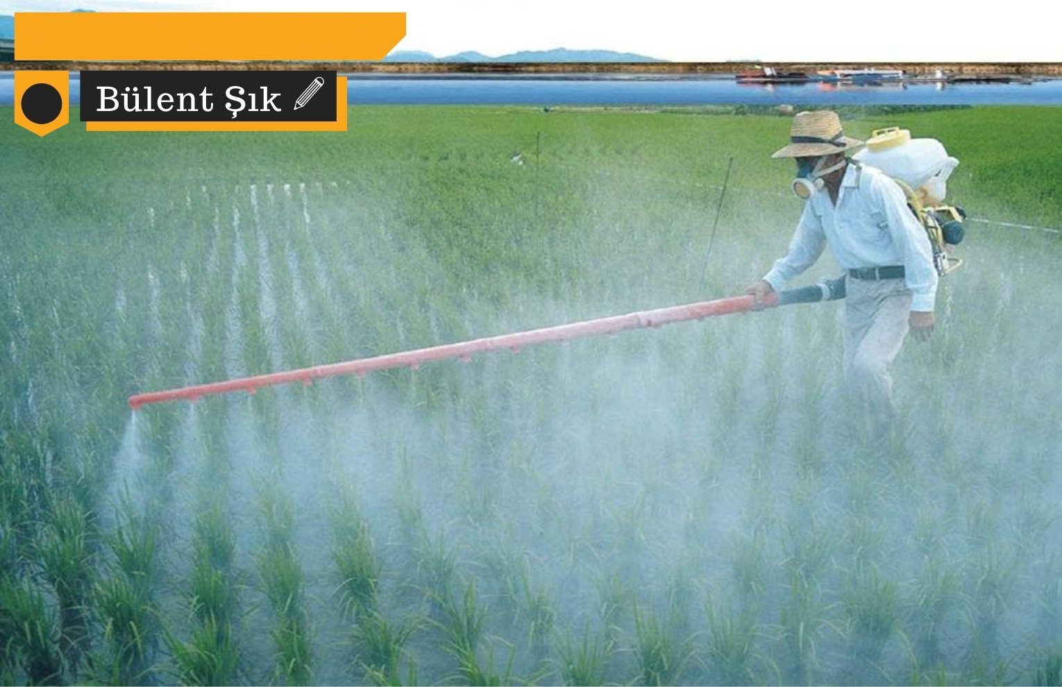 Pesticides that are most harmful to aquatic life