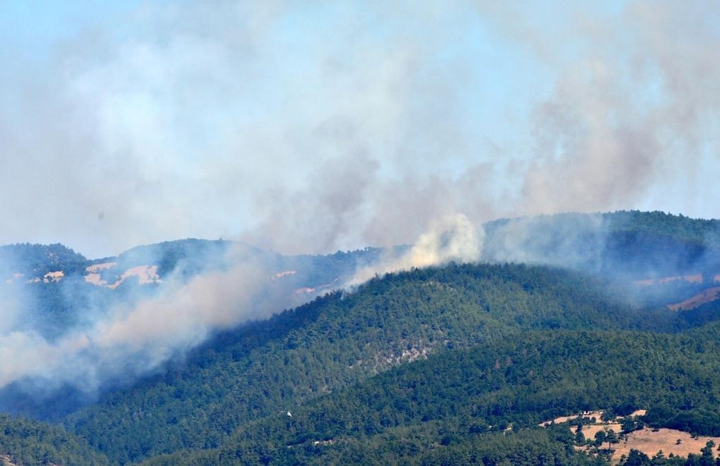 12 ilde 19 orman yangını: 15'i kontrol altına alındı