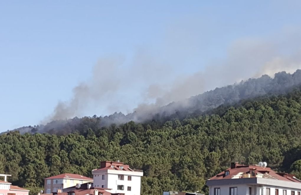 Second fire in a week in İstanbul's Aydos forest