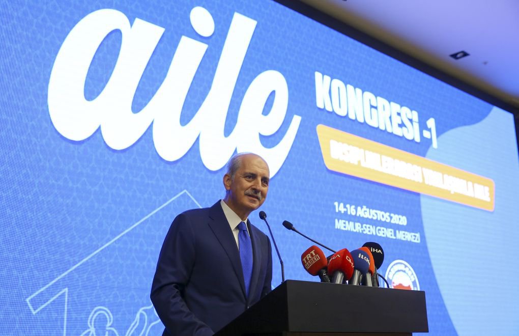 'Those who live alone are at the root of the problems,' says AKP Deputy Chair