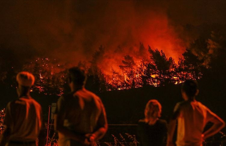 Minister: 3,720 forest fires occurred in Turkey in one-and-a-half years