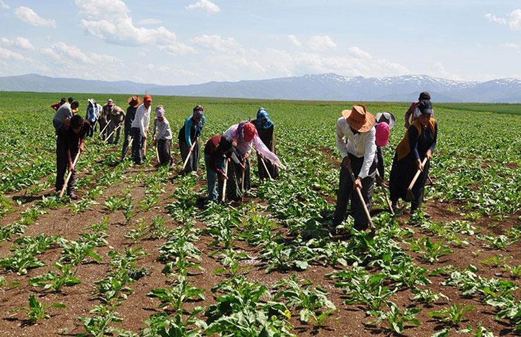 "Mevsimlik tarım işçileri virüs mü açlık mı ikileminde"