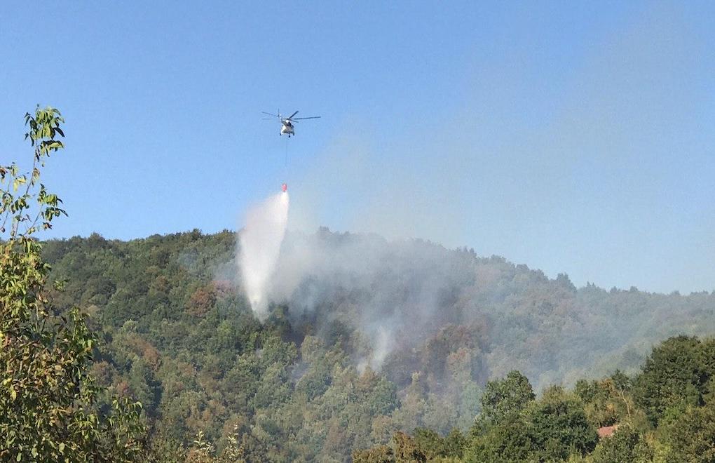 Adana forest fire under control, 3 people detained