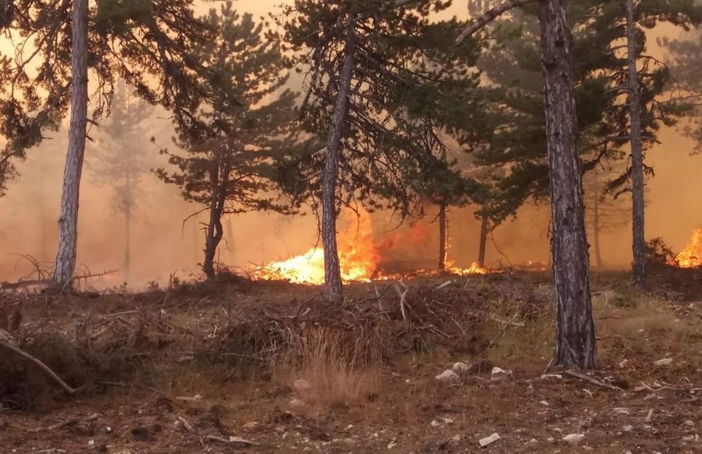 Forest fire breaks out in Ankara
