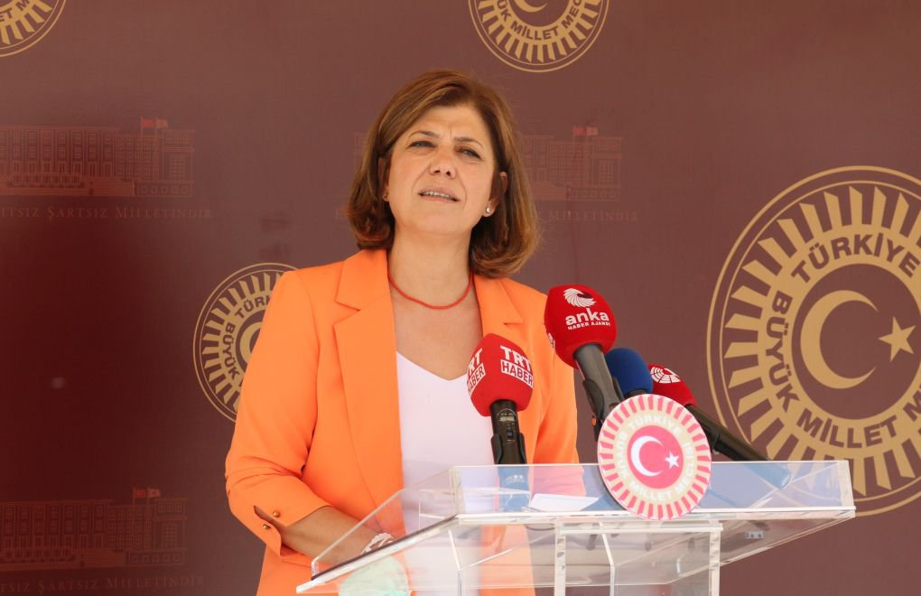 HDP deputy calls on ECtHR President to reject honorary doctorate in Turkey