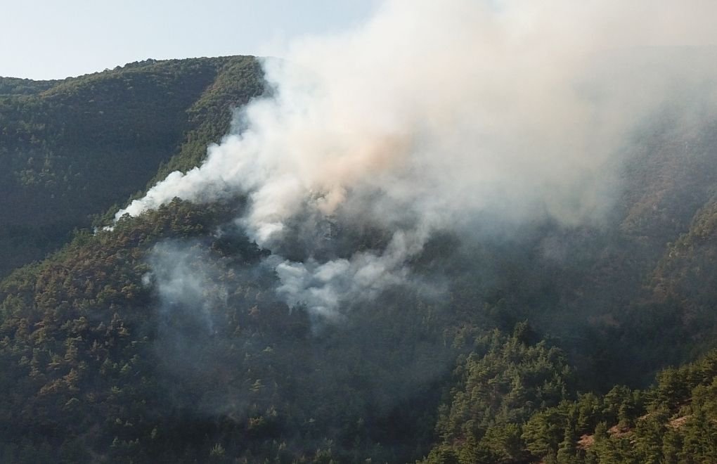 İstanbul'da 2020'nin ilk 8 ayında 13 bin 804 orman yangını