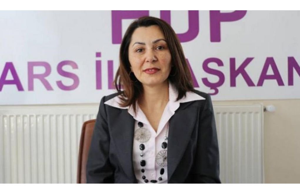 Kars Co-Mayor Şevin Alaca detained