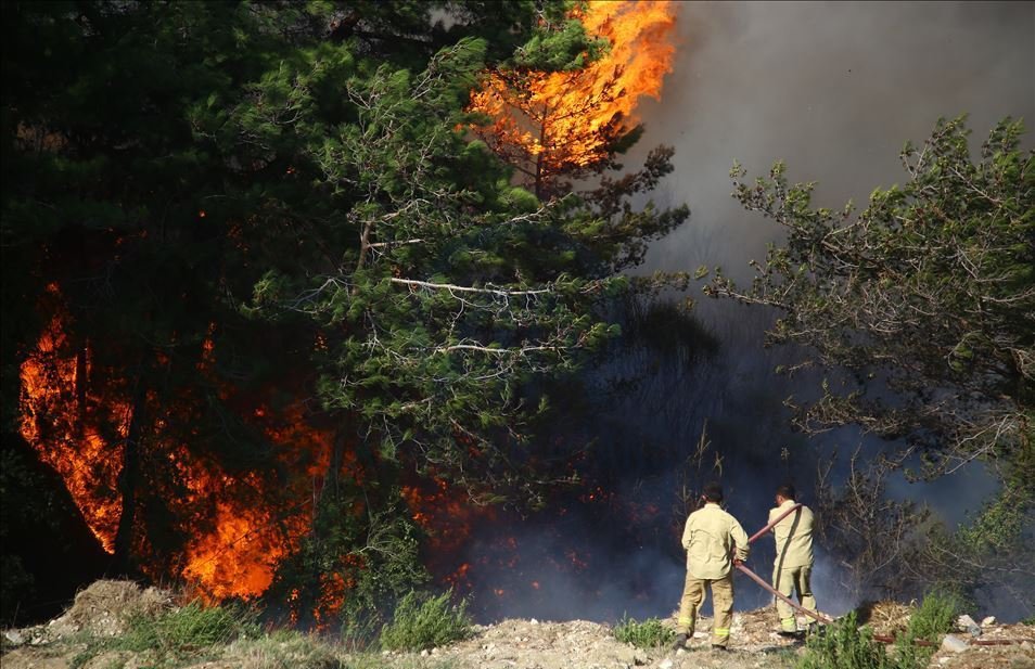 Two people detained over forest fires in southern Turkey