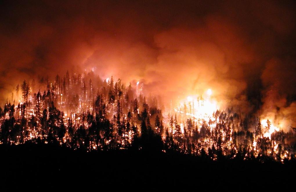 Bakan Pakdemirli: 2020'de 2 bin 792 orman yangını çıktı