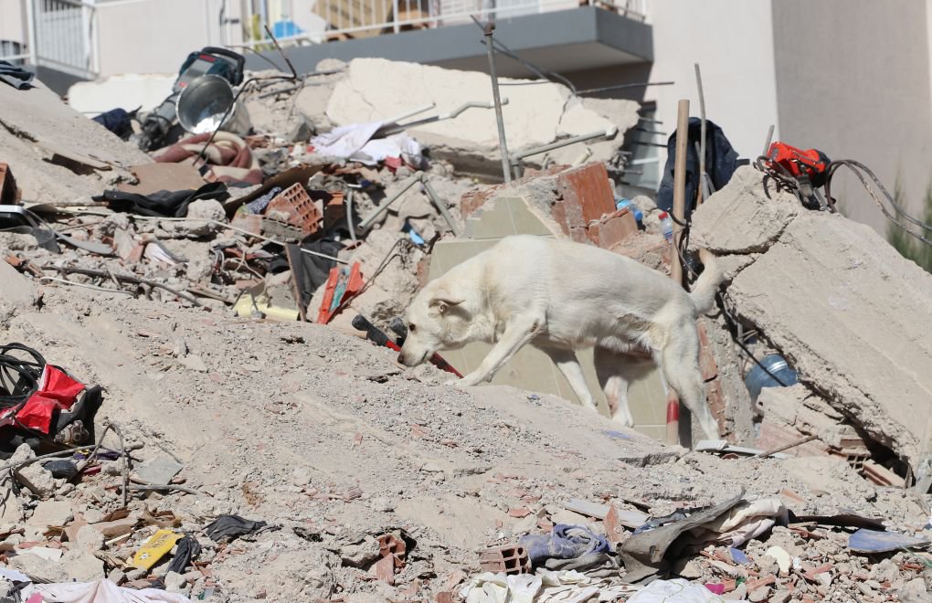 Arama kurtarma köpekleri İzmir’de görevde