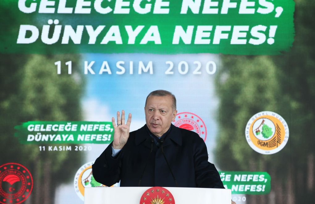 Erdoğan: We work without caring about fake environmentalists