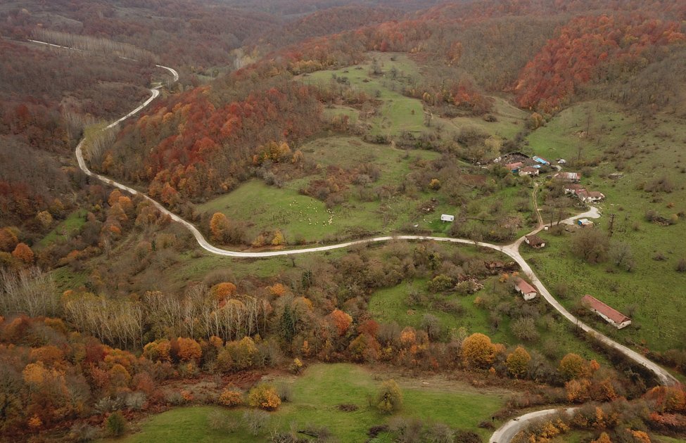 Reports: 144,000 trees to be cut down for quarry expansion in UNESCO-listed forest in Thrace