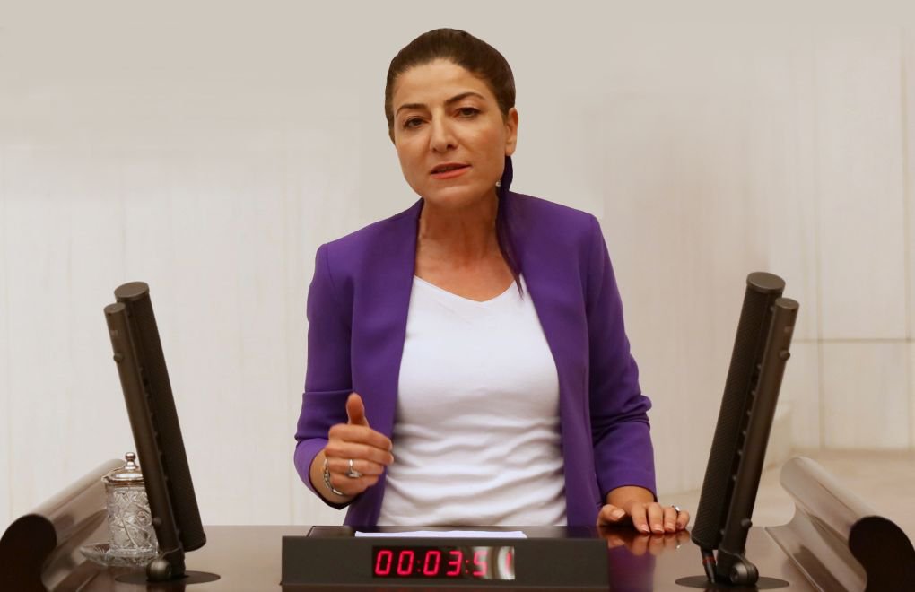 HDP’li Gülüm, engelli kadınların sorunlarını Meclis'e taşıdı 