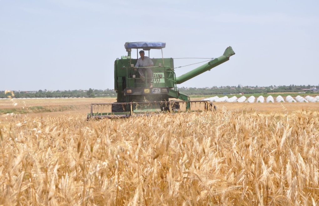 Gürer: “İthal buğdayı işleyip ihraç ederek tarımda sorunlar aşılamaz”