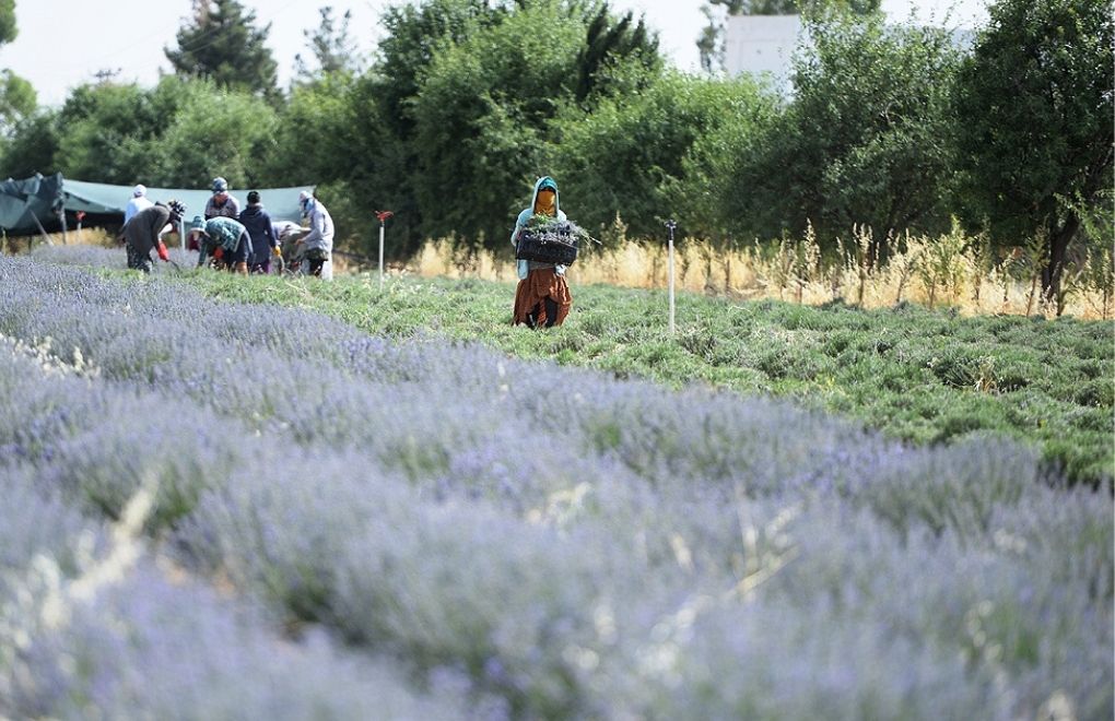 "AKP iktidarında çiftçinin borcu 72 kat arttı"