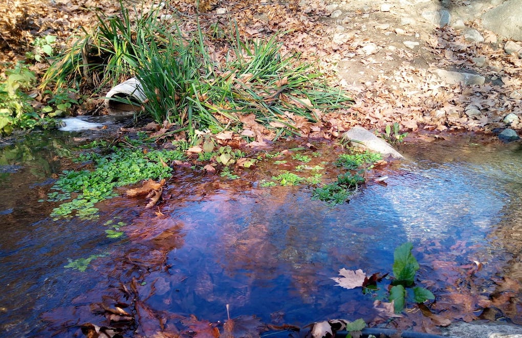 ‘Cesspool waste of 22 mountain villages mixes in Bursa's drinking water’