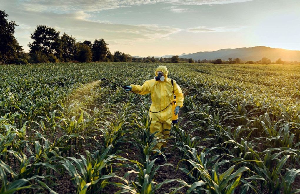 Environmental group warns of increasing pesticide poisonings