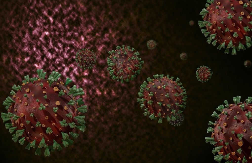 Koca: 128 kişide mutasyonlu virüs tespit edildi