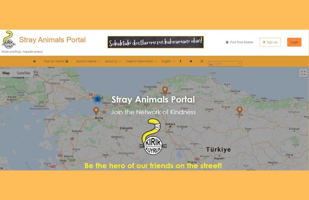 A portal for stray animals: ‘Be a hero to the animals on your street’