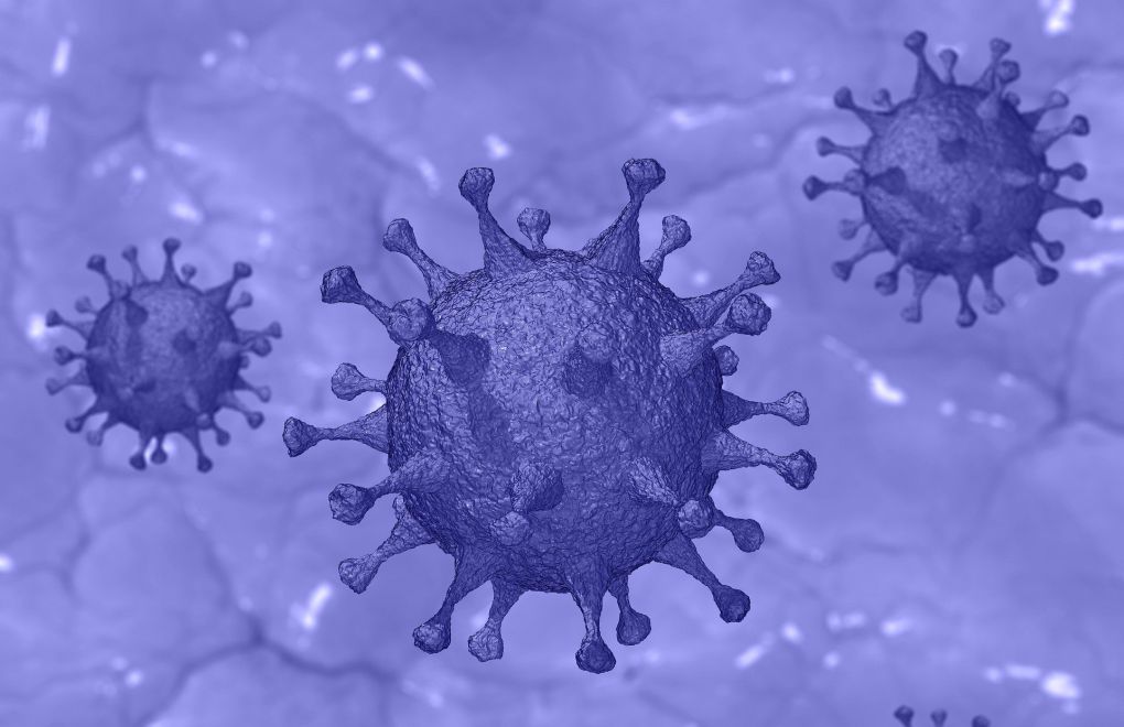 Coronavirus mutations: Turkish Medical Association warns against 'snowball effect'