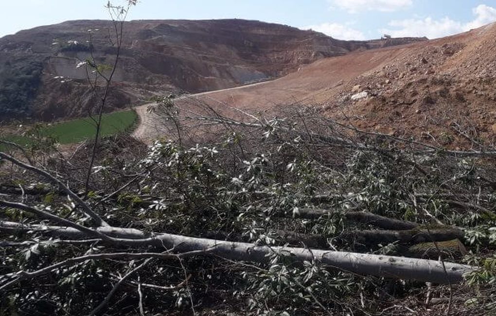 'Gold mining company felling trees in Ordu despite expired license'