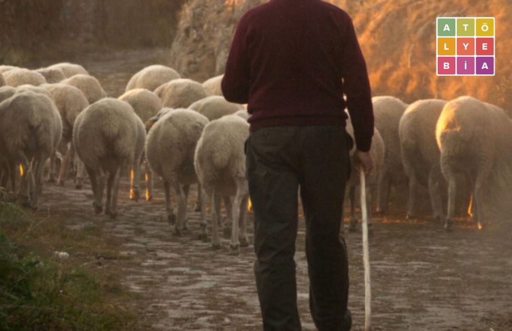 Afgan çobanlar: Afganistan’dan Türkiye’ye 40 gün yolculuk