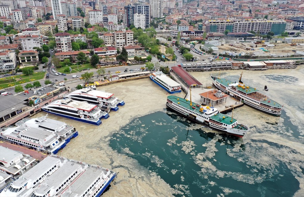 Marmara Denizi'nin dibi de salya ile kaplanıyor