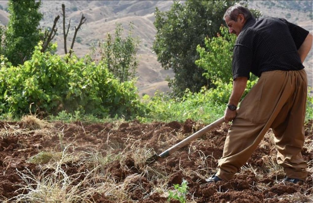 "Mezopotamya Ovası'nda tarımsal üretim yüzde 48 azaldı"