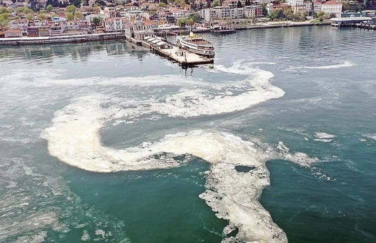 Ministry, municipalities to meet on 'sea snot' problem in Marmara
