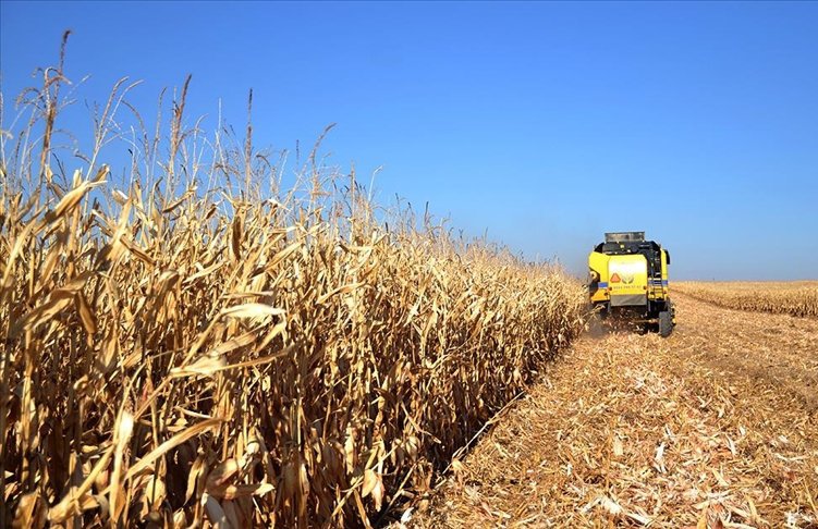 HDP warns of looming food crisis in Turkey due to climate change