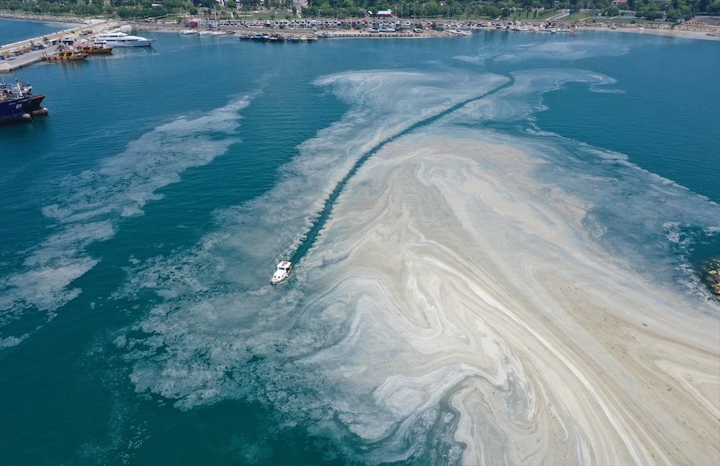 Marmara'da müsilaj temizliği: "Kumsalda kumu süpürmek"