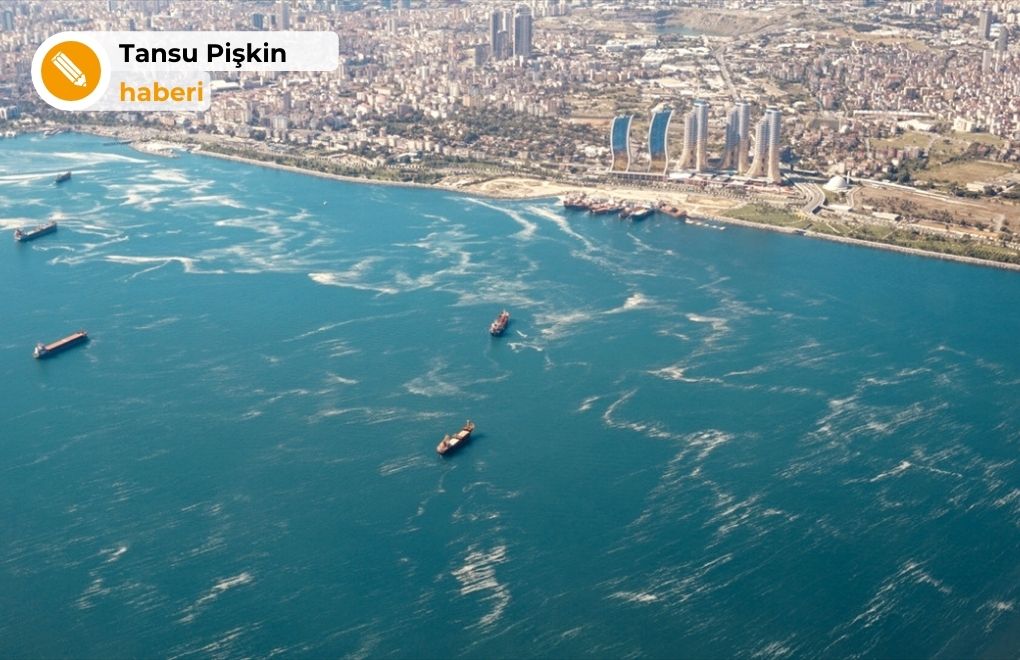 "Marmara'da denize girilmemeli, salgın riskine dikkat edilmeli"