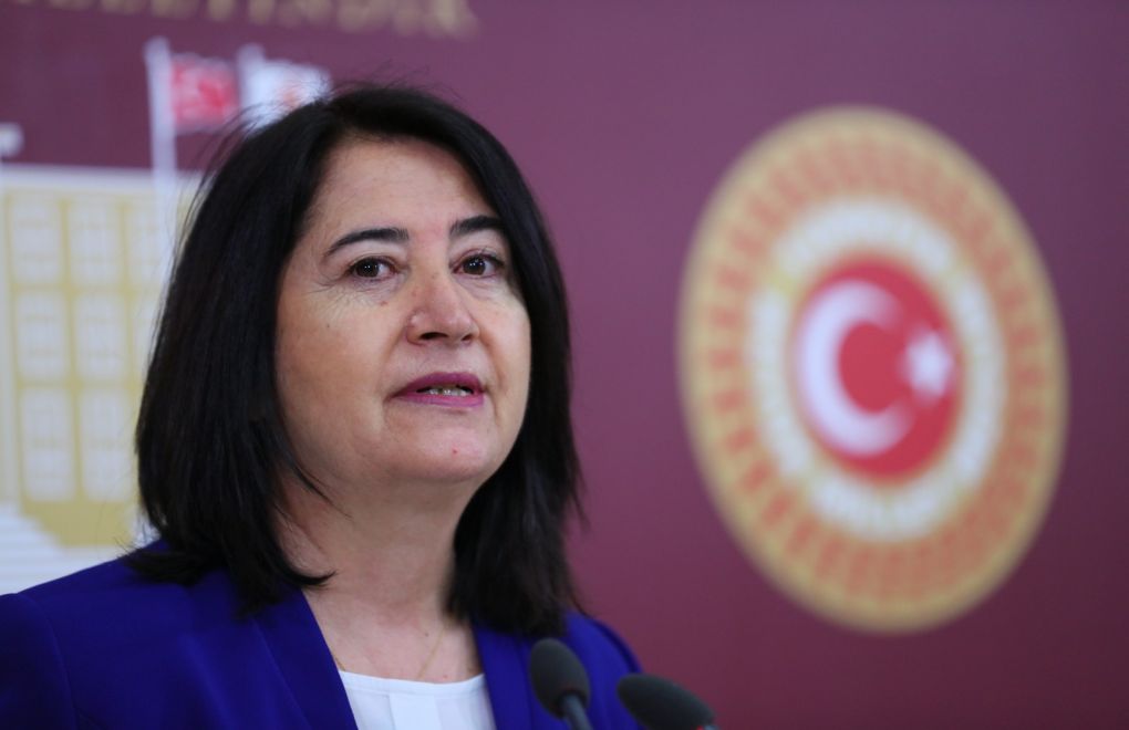 HDP’li Kemalbay’dan ev işçileri için araştırma önergesi