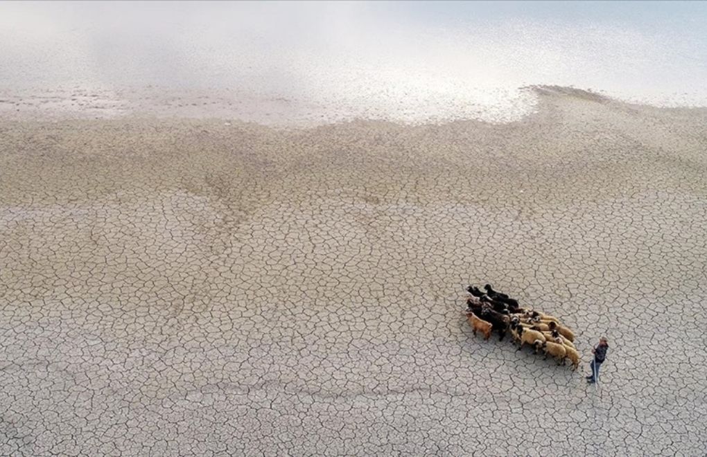 Van Gölü havzasında kuraklık: Su kaynakları kayboluyor