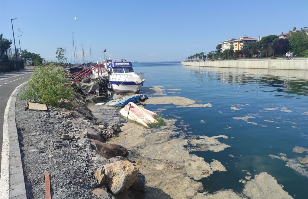 Marmara Denizi'nin 592 noktasında müsilaj temizliği
