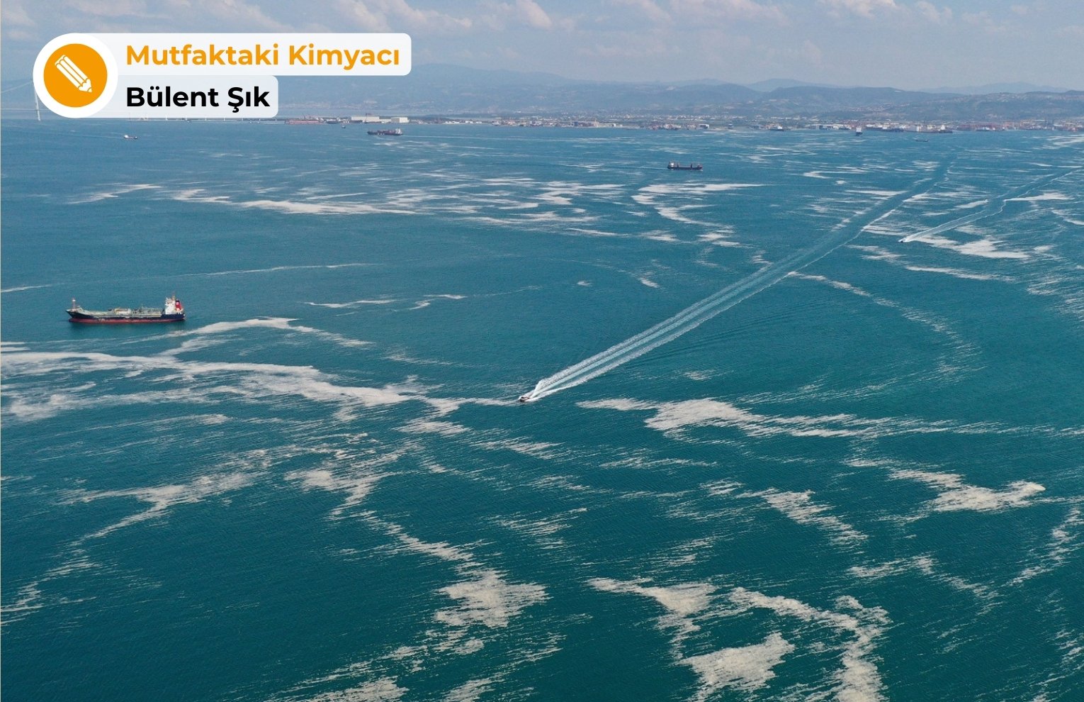 Sağlık Bakanlığı kanser araştırması ve Marmara Denizi'ndeki kirlilik sorunu