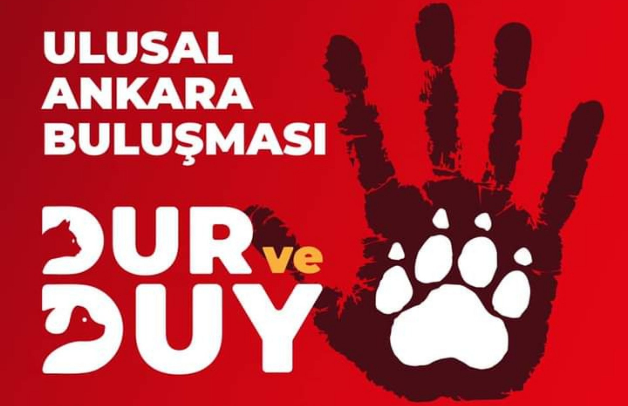Hayvan hakları örgütleri Ankara’da eyleme hazırlanıyor
