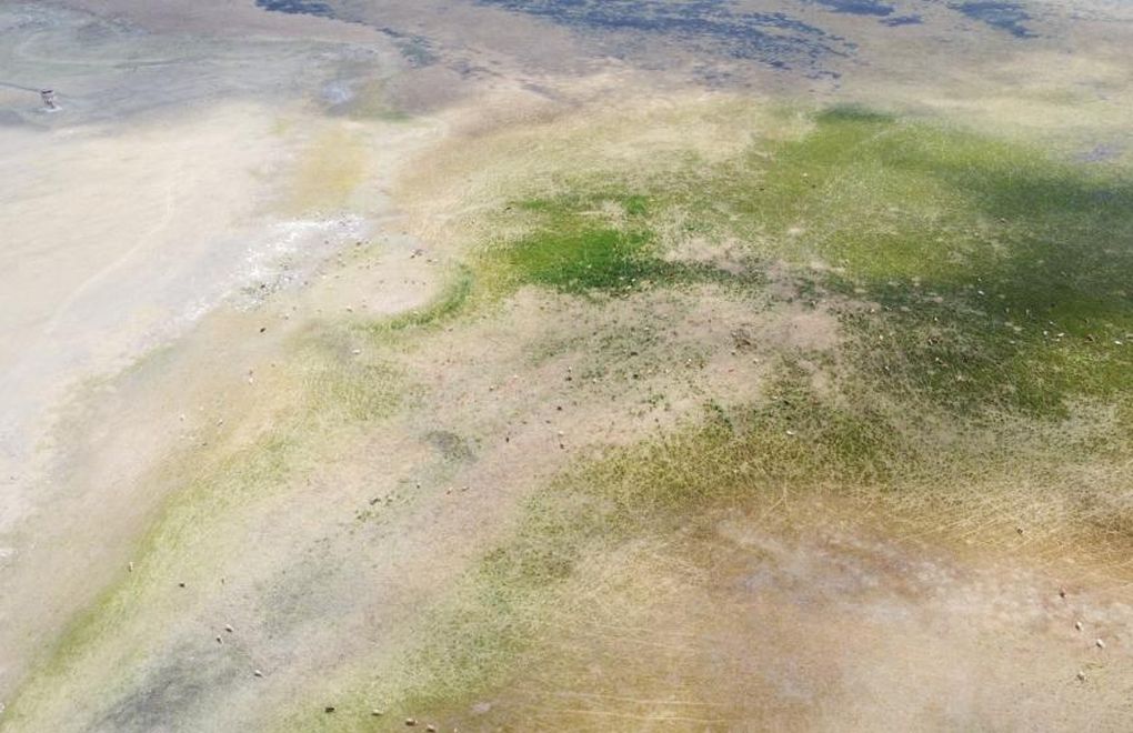 Lake declared Ramsar site in eastern Turkey dries up