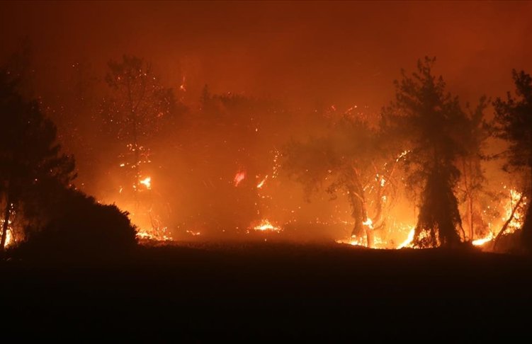Forest fires break out in three more cities in southern Turkey