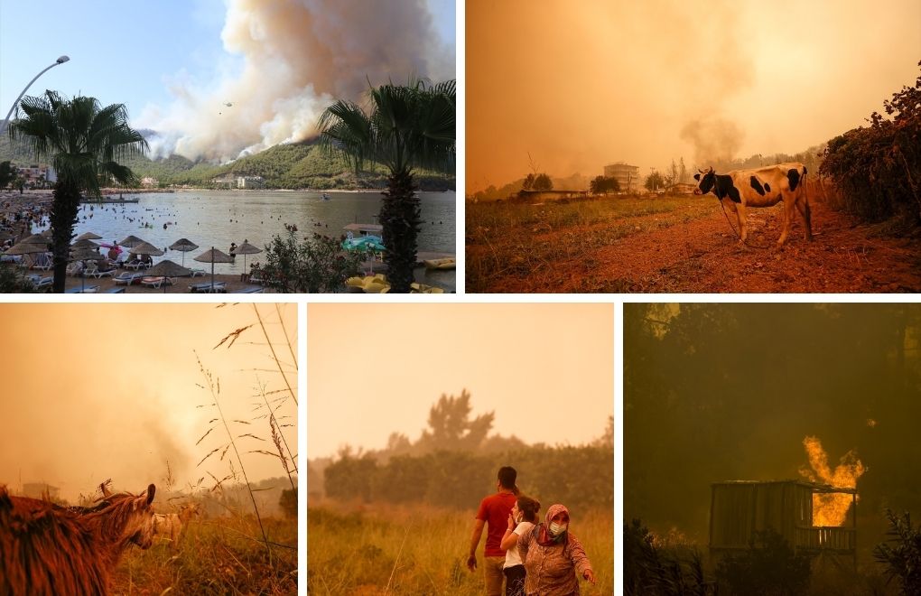 2 günde 53 orman yangını: 4 kişi öldü, 2 kişi kayıp