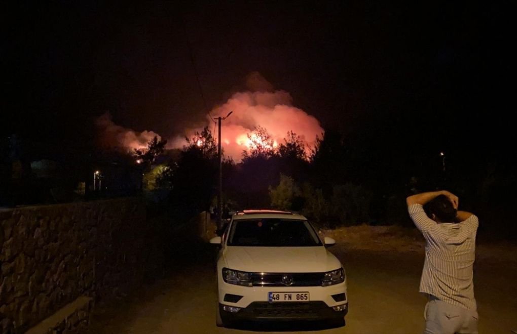 Fethiye ve Hatay'daki orman yangınları kontrol altına alındı
