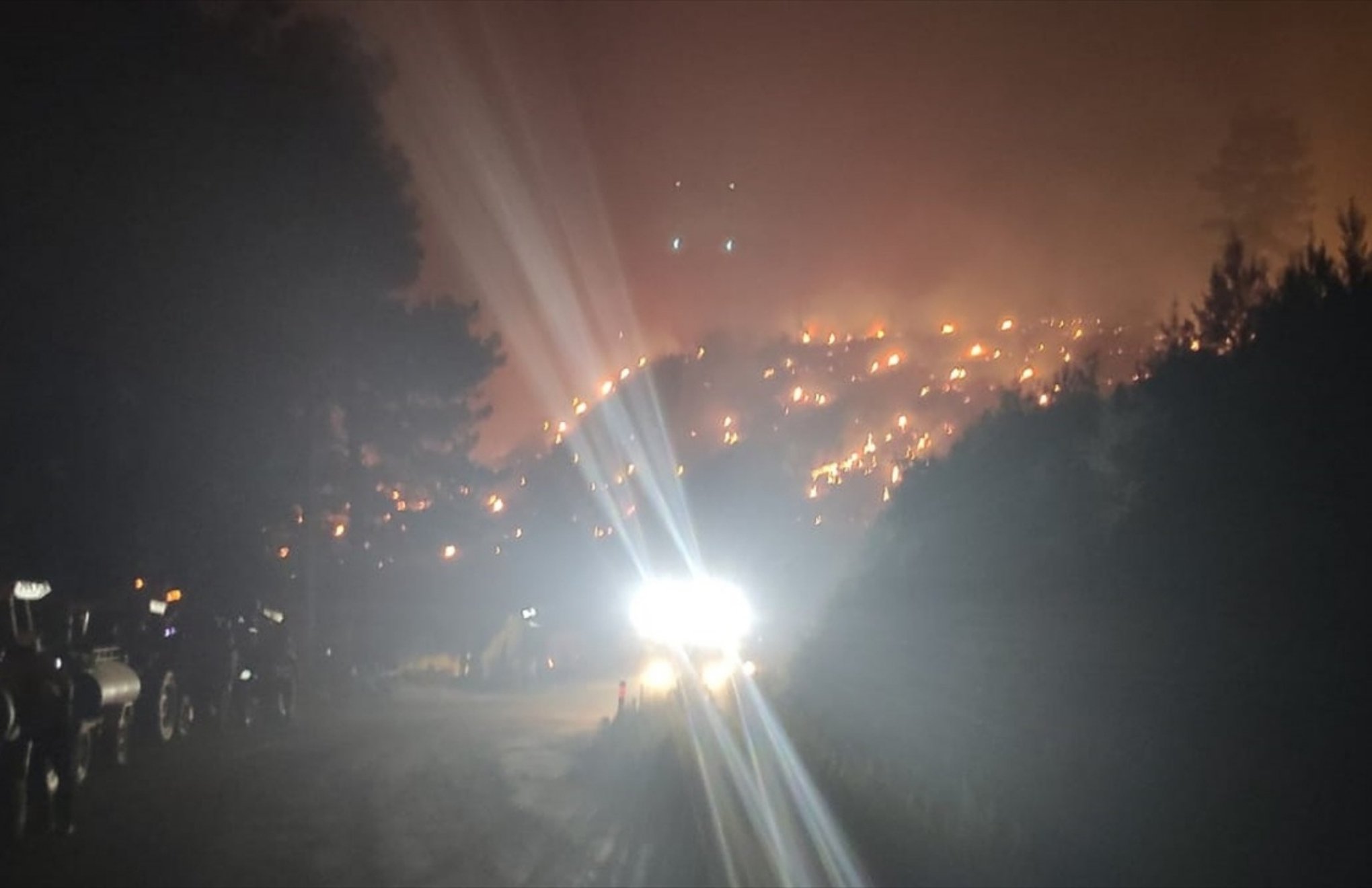 174 forest fires in 39 provinces in 8 days: 14 fires still raging