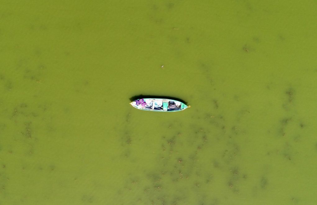 Uluabat Gölü alg patlaması sonucu yeşile döndü