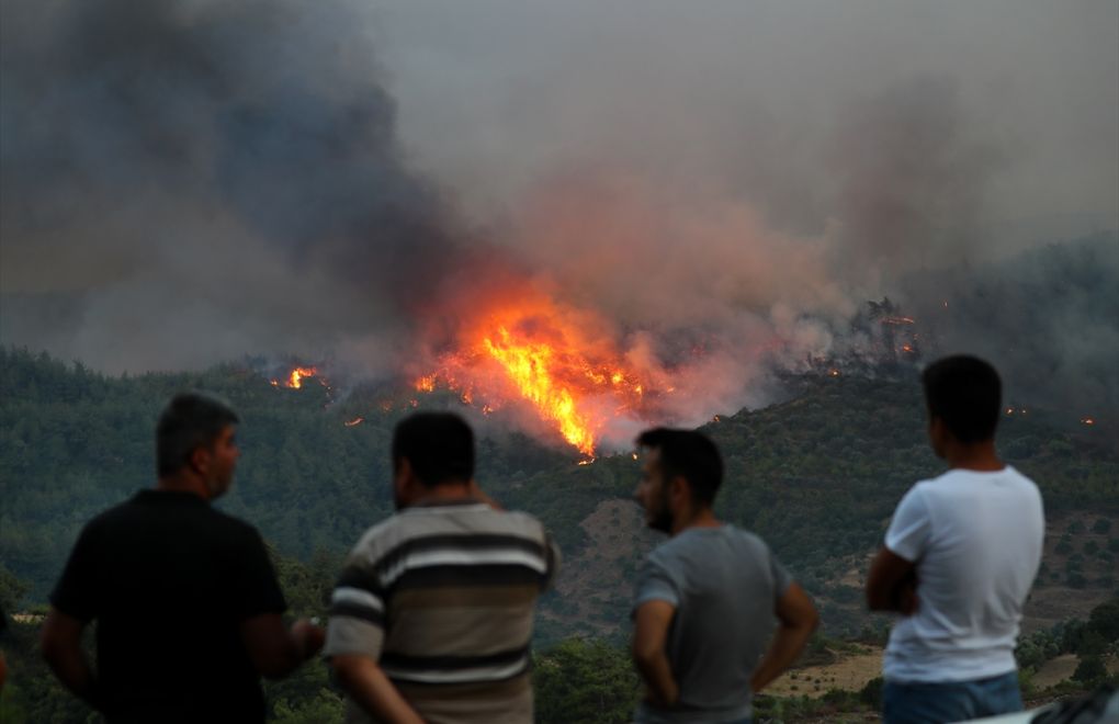 Milas'taki yangınlarda toplam 16 bin hektarlık alan yandı