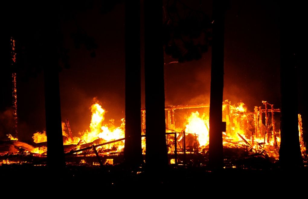 “Dixie” 187 bin hektarı yaktı