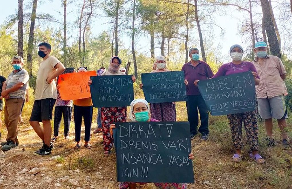 Petition for Akbelen forest: ‘We won’t surrender it for coal’