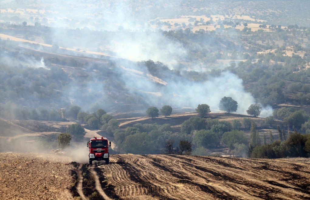 Study: 83,000 hectares of forests burned in Turkey's south and southwest in two weeks