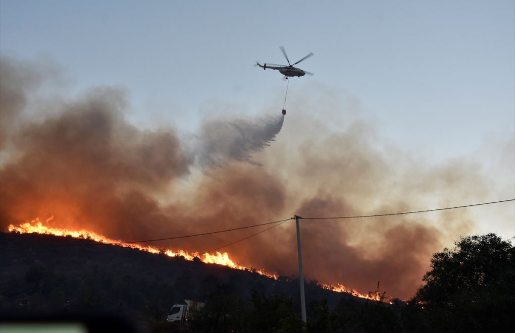 Turkey saw 1,859 forest fires with unknown causes in 2020