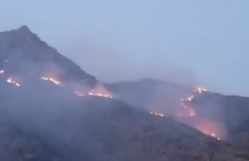 Hakkari Şemdinli'de orman yangını